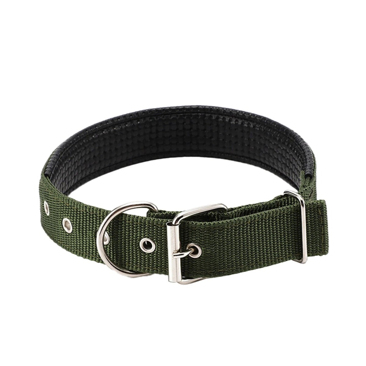 Collar Ajustable Reforzado Hebilla Nylon Perro Gato Mediano - Variante Color Verde 