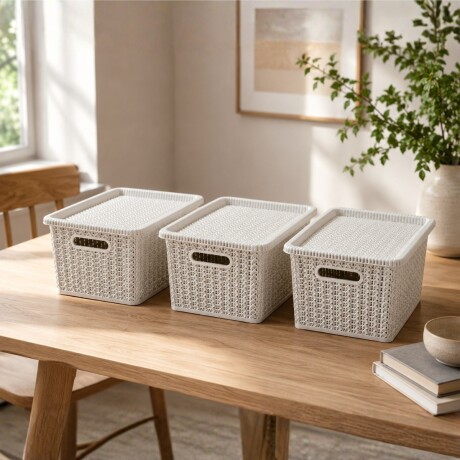Set x3 caja organizadora simil ratán 5L BLANCO