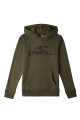 Canguro O'Neill Hoodie Verde Militar