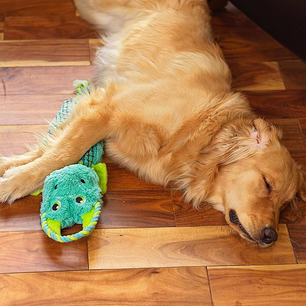 OUTWARD HOUND ROPIEZ DRAGÓN - MULTICOLOR L N/A