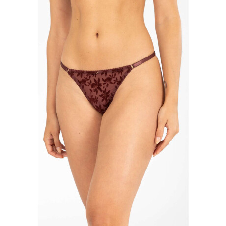 Colaless tiritas destina Bordeaux