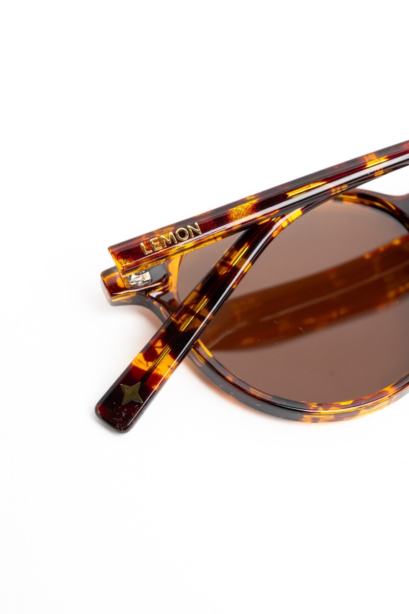 Lentes De Sol Polarizados Marron