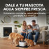 Fuente Agua Gatos Perros Bebedero + 2 Filtros Repuesto Fuente Agua Gatos Perros Bebedero + 2 Filtros Repuesto