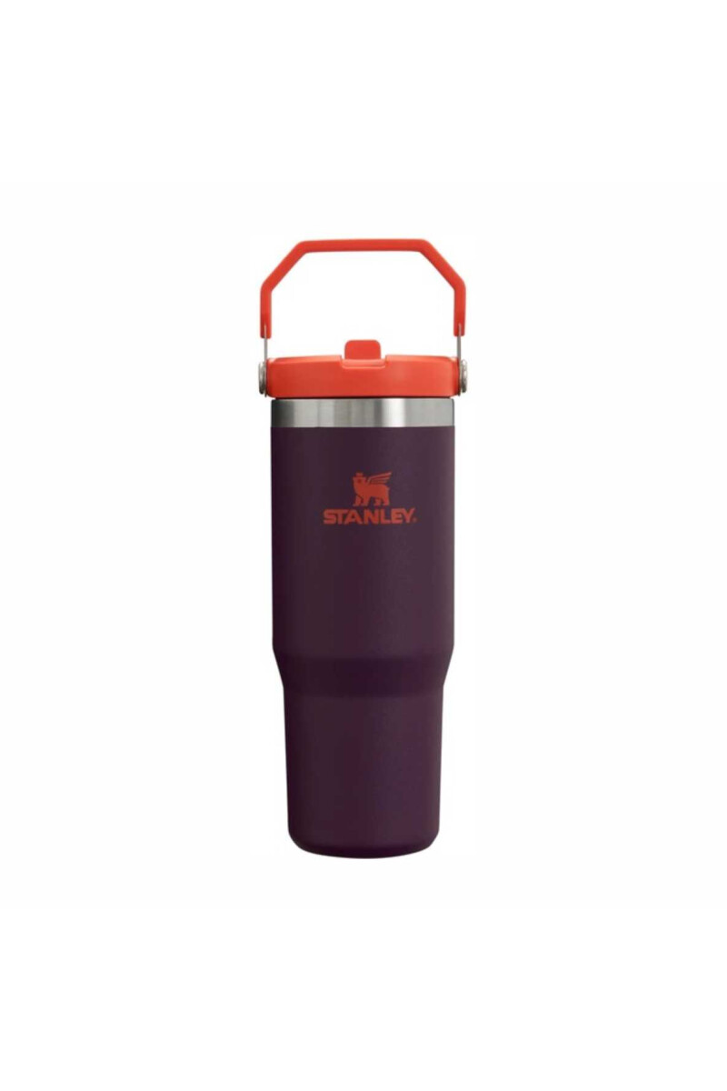 FLIP STRAW TUMBLER | 887 ML PLUM STRIPE