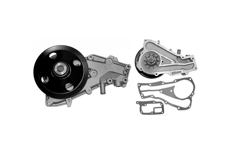 Bomba Agua s/Carcaza Renault R11/R9/R19 81-99 Bomba Agua s/Carcaza Renault R11/R9/R19 81-99