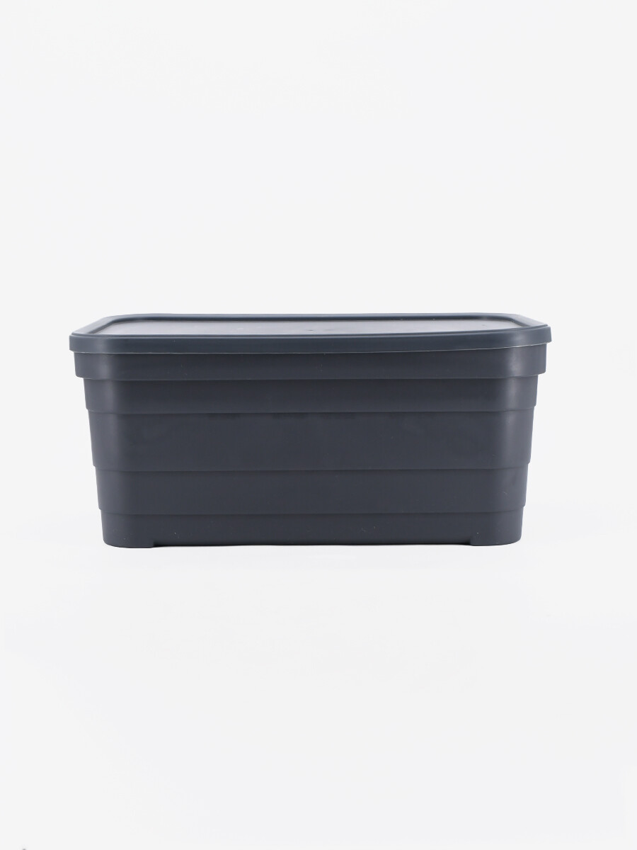 CAJA ORGANIZADORA C/ TAPA PYRAMID 10,8 LTS - BEIGE 