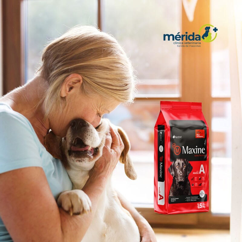 MAXINE PERROS ADULTOS TODAS LAS RAZAS - 21 + 4 KG MAXINE PERROS ADULTOS TODAS LAS RAZAS - 21 + 4 KG