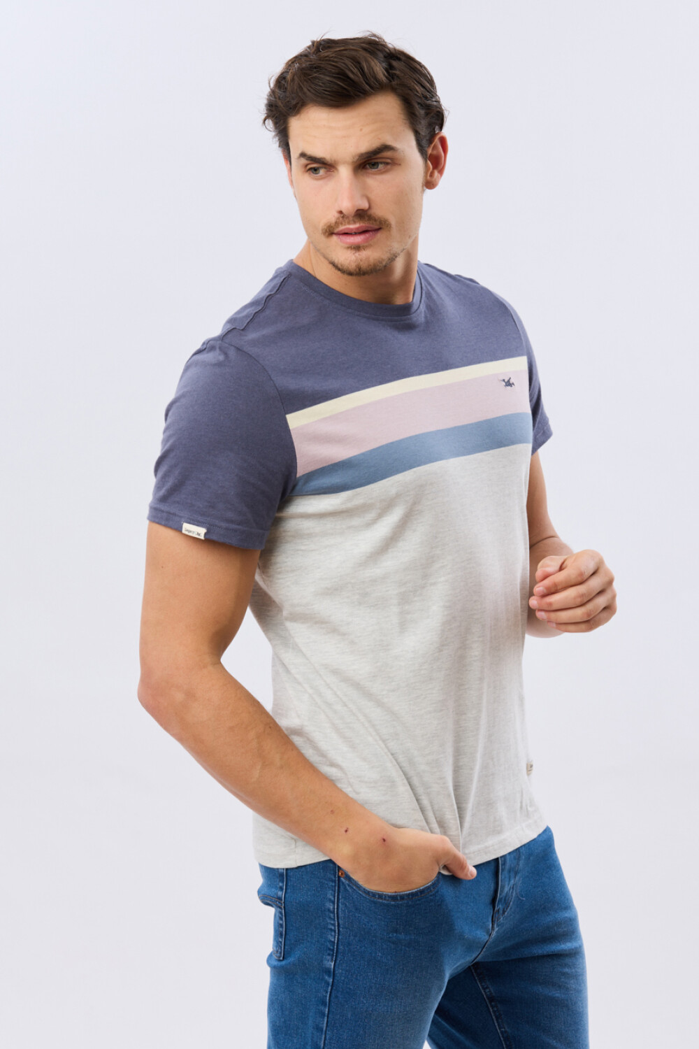 REMERA RAYADA DE ALGODÓN Gris