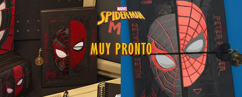 Spider cuaderno