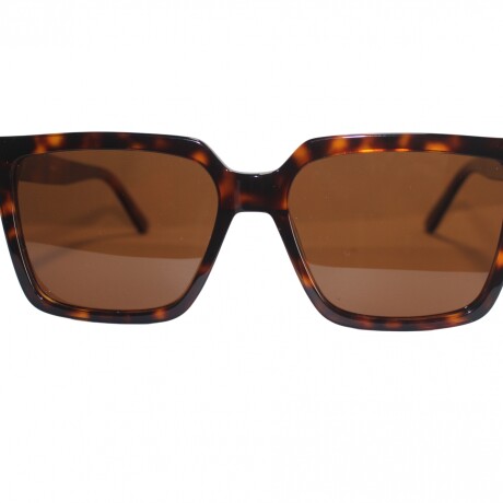 6087Sol Carey+Brown