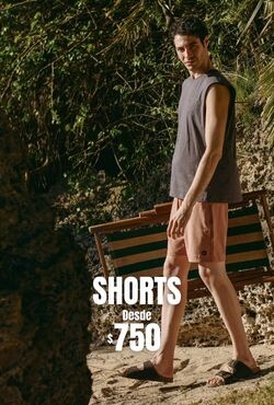 Shorts DIC. 2025