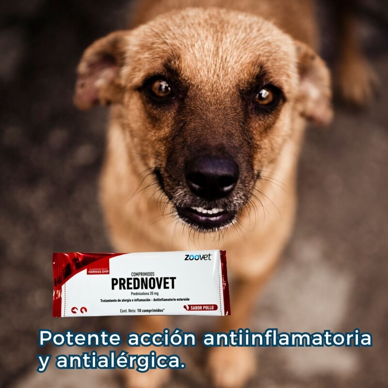 PREDNOVET 20 MG X 10 COMPRIMIDOS SABOR POLLO PREDNOVET 20 MG X 10 COMPRIMIDOS SABOR POLLO