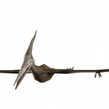 Bloque de dinosaurio pterodactylus