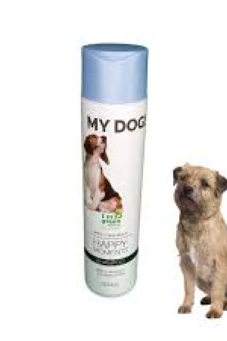SHAMPOO BRILLO INTENSO NATURAL CAN SHAMPOO BRILLO INTENSO NATURAL CAN