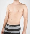 Boxer galés Negro