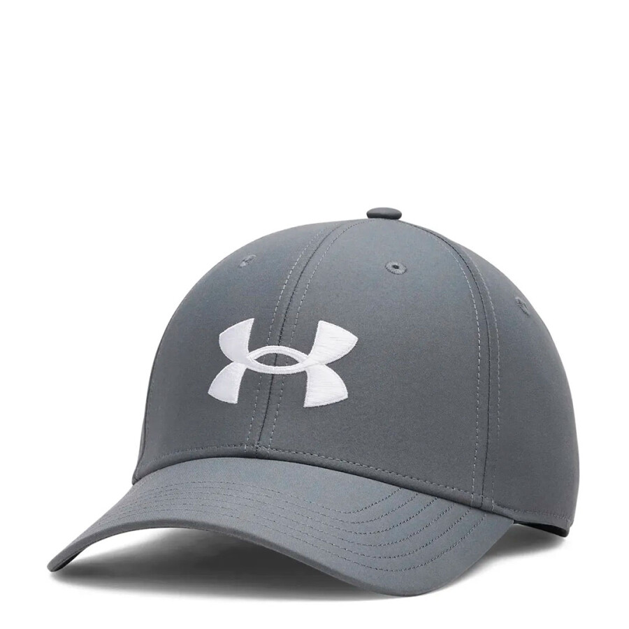 Gorra Under Armour M Essential Low Gris