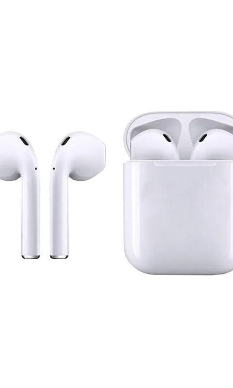 AURICULAR ANTÁRTICO BLANCO