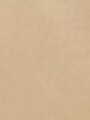 Buzo de bremer con strass beige