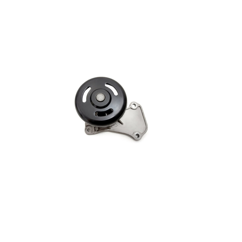 BOMBA DE AGUA RENAULT KWID Bomba De Agua Renault Kwid