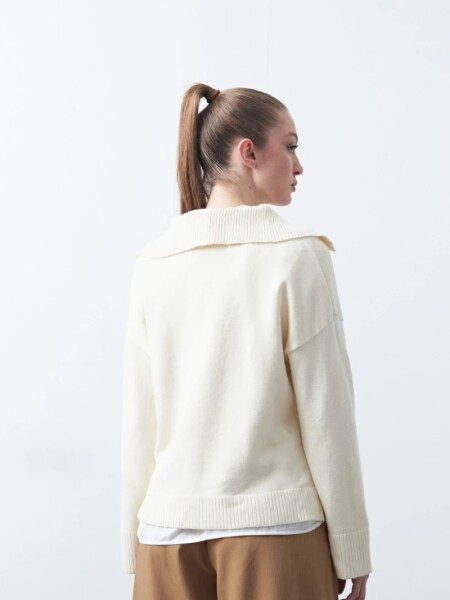 BUZO D.CASSIN APUS CRUDO