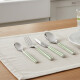 Set 24 Piezas Cubiertos Mango Rayas VERDE