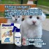SHOOTER SPRAY 120 ML ANTIPULGAS Y GARRAPATAS PARA PERROS Y GATOS SHOOTER SPRAY 120 ML ANTIPULGAS Y GARRAPATAS PARA PERROS Y GATOS