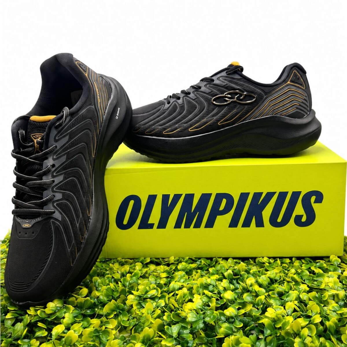 CHAMPION OLYMPIKUS VOLCAN 