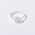 ANILLO MELIORA ANILLO MELIORA