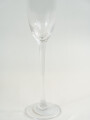Copa Hemera Champagne Color Unico