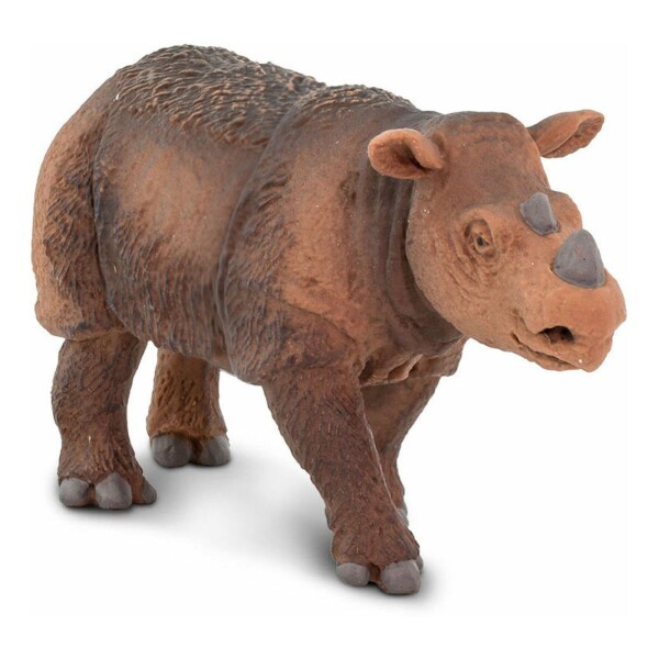 Rinoceronte De Sumatra Safari Figura Escala Muñeco Aniaml Rinoceronte De Sumatra Safari Figura Escala Muñeco Aniaml