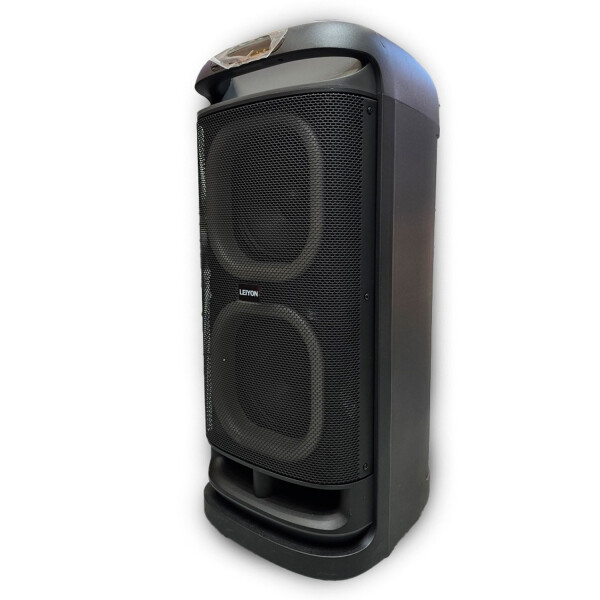 Parlante Leiyon Ly 08d30 Doble 8" PARLANTE LEIYON LY 08D30 2 X 8"