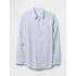 V-LS STANDARD LINEN COTTON BLUE STRIPE