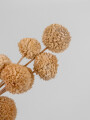 Deco Floral Ramo Bolas White Natural Color Unico