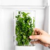 Portahierbas para refrigerador Tramontina Organizzare de 1,2 litros Portahierbas para refrigerador Tramontina Organizzare de 1,2 litros