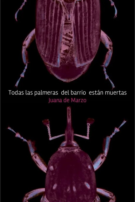 TODAS LAS PALMERAS DEL BARRIO ESTAN MUERTAS TODAS LAS PALMERAS DEL BARRIO ESTAN MUERTAS