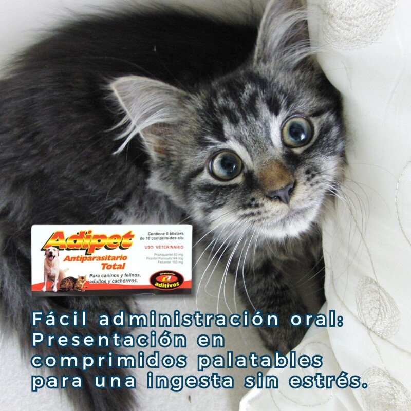 ADIPET ANTIPARASITARIO TOTAL 50 COMPRIMIDOS ADIPET ANTIPARASITARIO TOTAL 50 COMPRIMIDOS