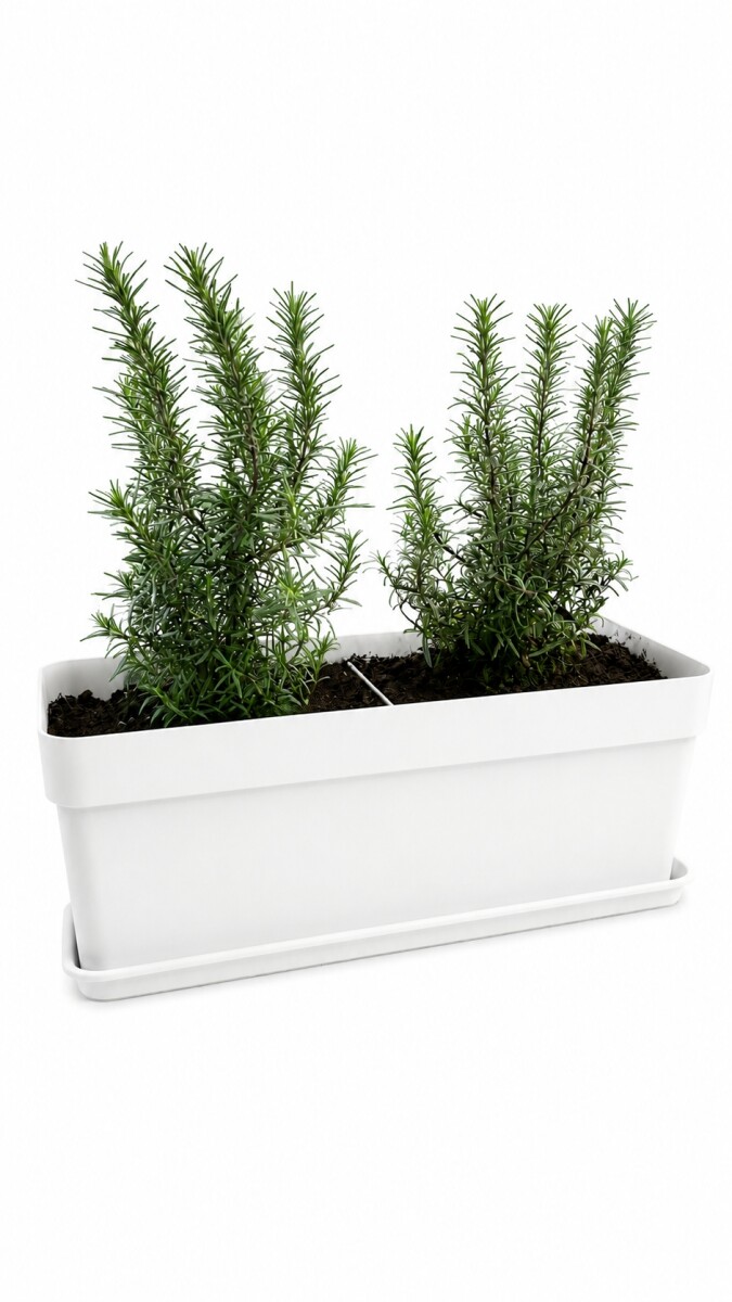JARDINERA CON ROMEROS - BLANCA 