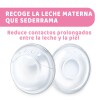 Discos aereadores recogeleche CHICCO Discos aereadores recogeleche CHICCO
