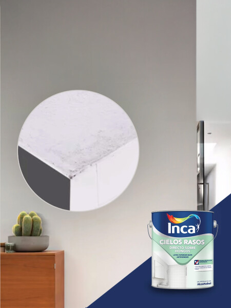 INCA CIELOS RASOS DIRECTO SOBRE HONGOS - 4 LTS. N/A