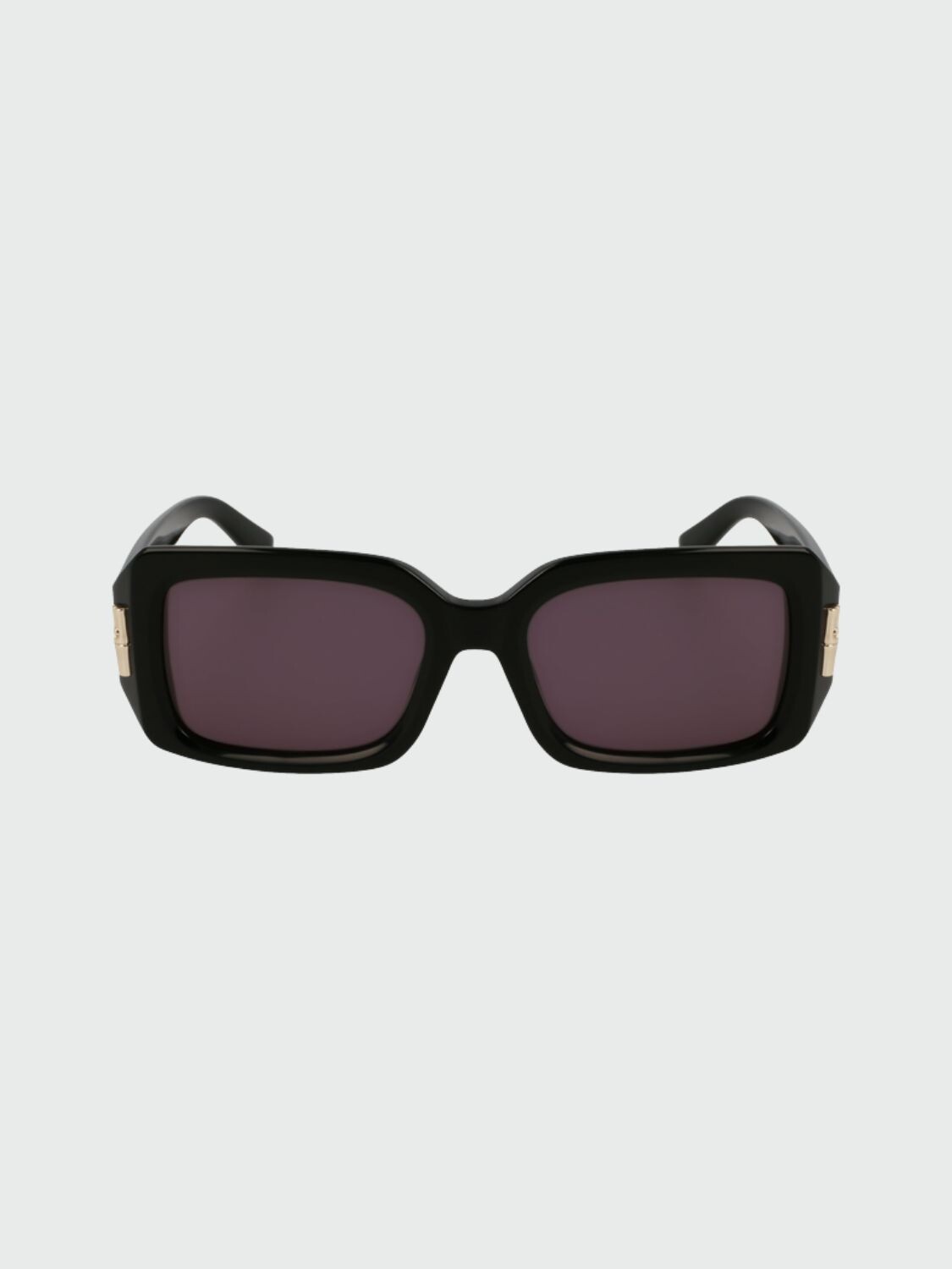 Longchamp - LENTES DE SOL 001