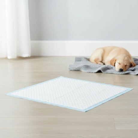 Pañal Entrenamiento Mascotas Absorbentes XL X40 Unidades Blanco/celeste