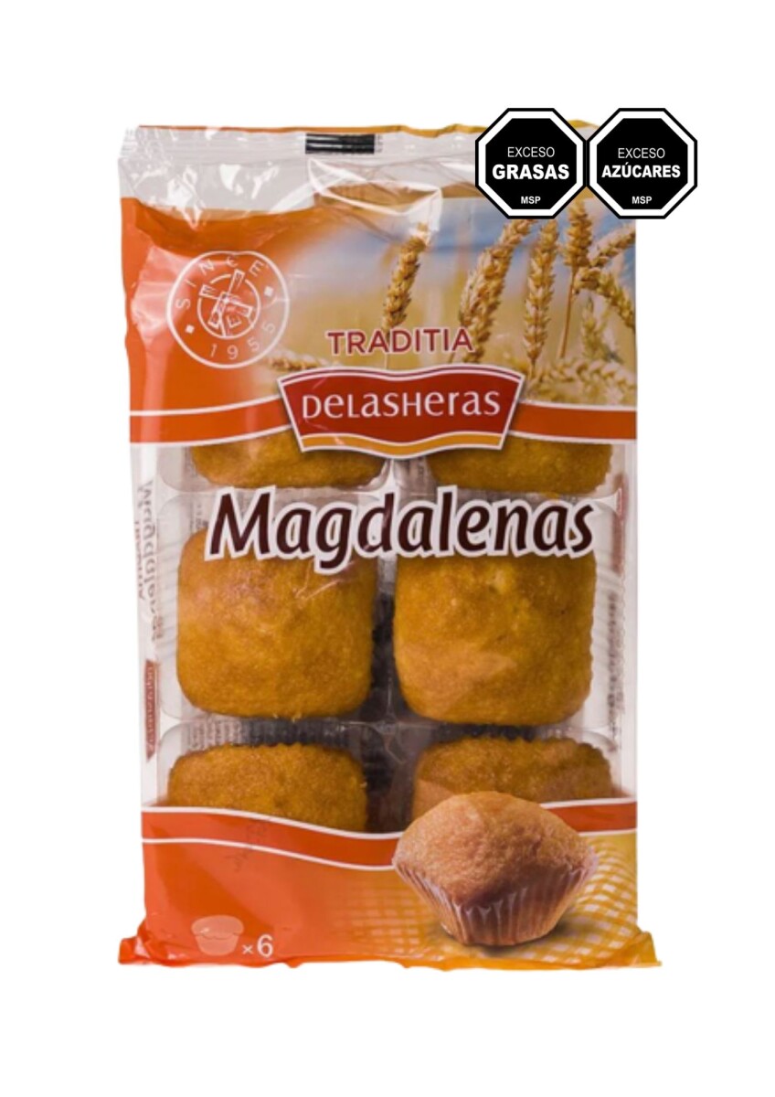 MAGDALENAS DELASHERAS CUADRADAS 175 G 6 UNIDADES 