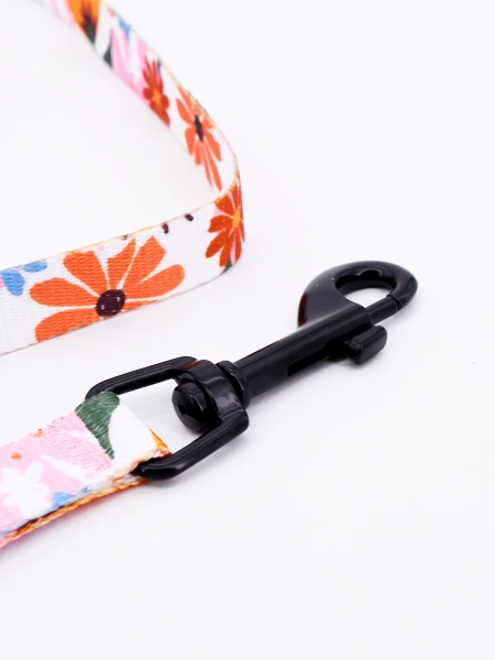 CORREA MALVA ESTAMPADO 1