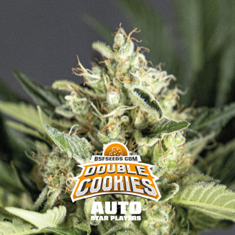 AUTO - DOUBLE COOKIES X4 UNIDADES