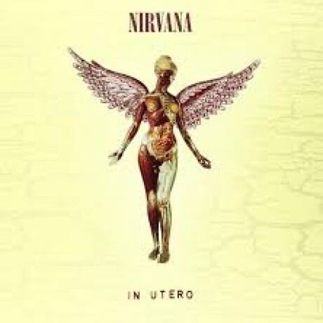 Nirvana-in Utero Nirvana-in Utero