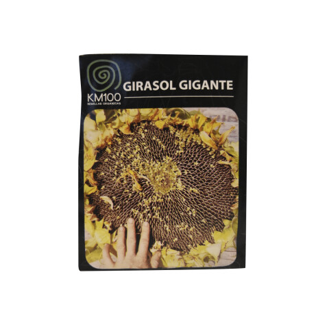 Semillas autocultivo de girasol gigante KM100 Semillas Girasol Gigante