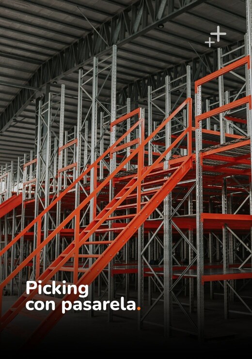 PICKING CON PASARELA
