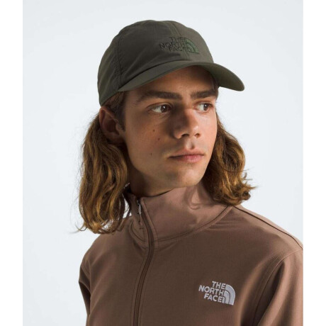 Gorra Horizon New Taupe Green