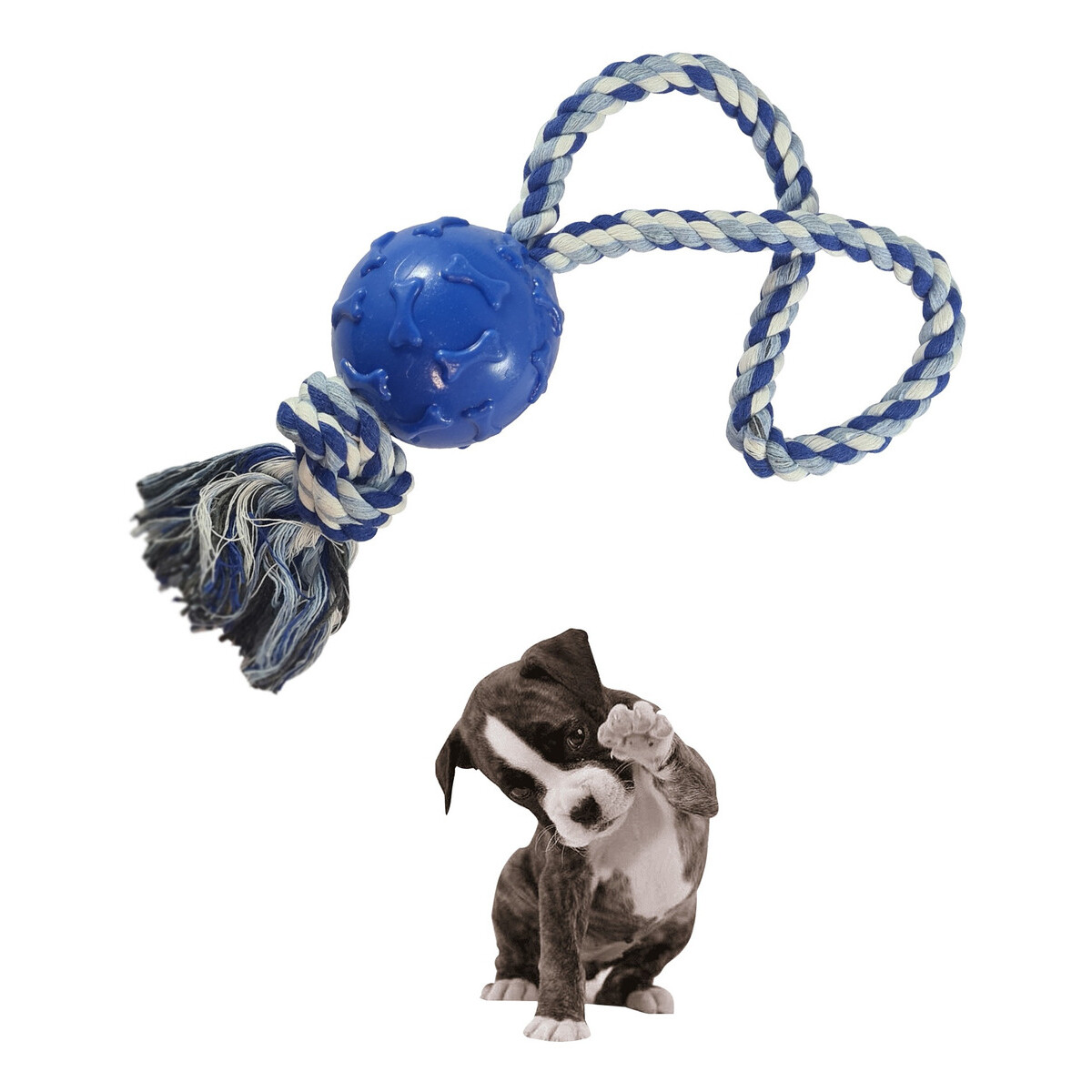 Juguete Masticable Perro Pelota Maciza Cuerda Resiste - Variante Color Azul 