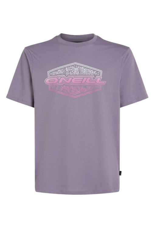 Remera O'Neill Gradient Storm Remera O'Neill Gradient Storm